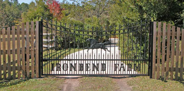Single Swing Gate