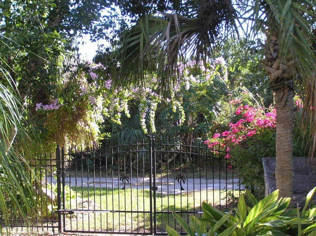 Customer Image